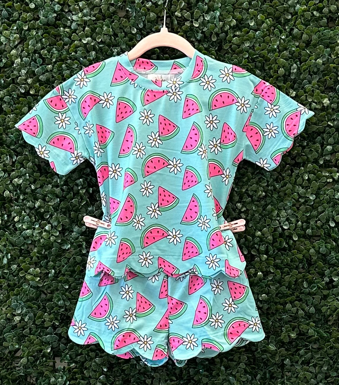 RTS Watermelon Scallop Collection