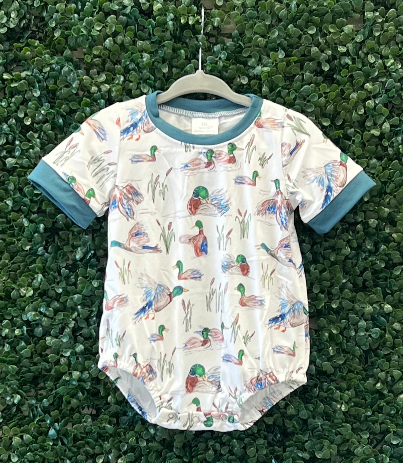 RTS Birds in the Wild Collection