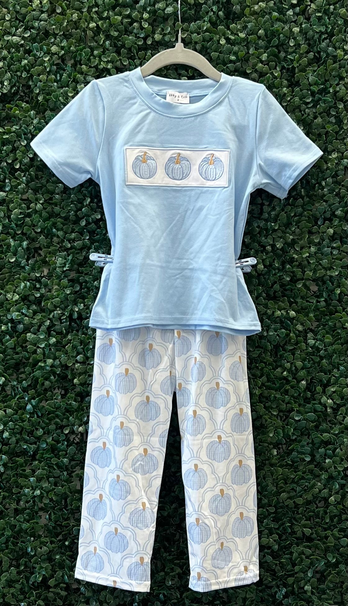 RTS Whimsical Pumpkin Embroidery Sibling Set Collection
