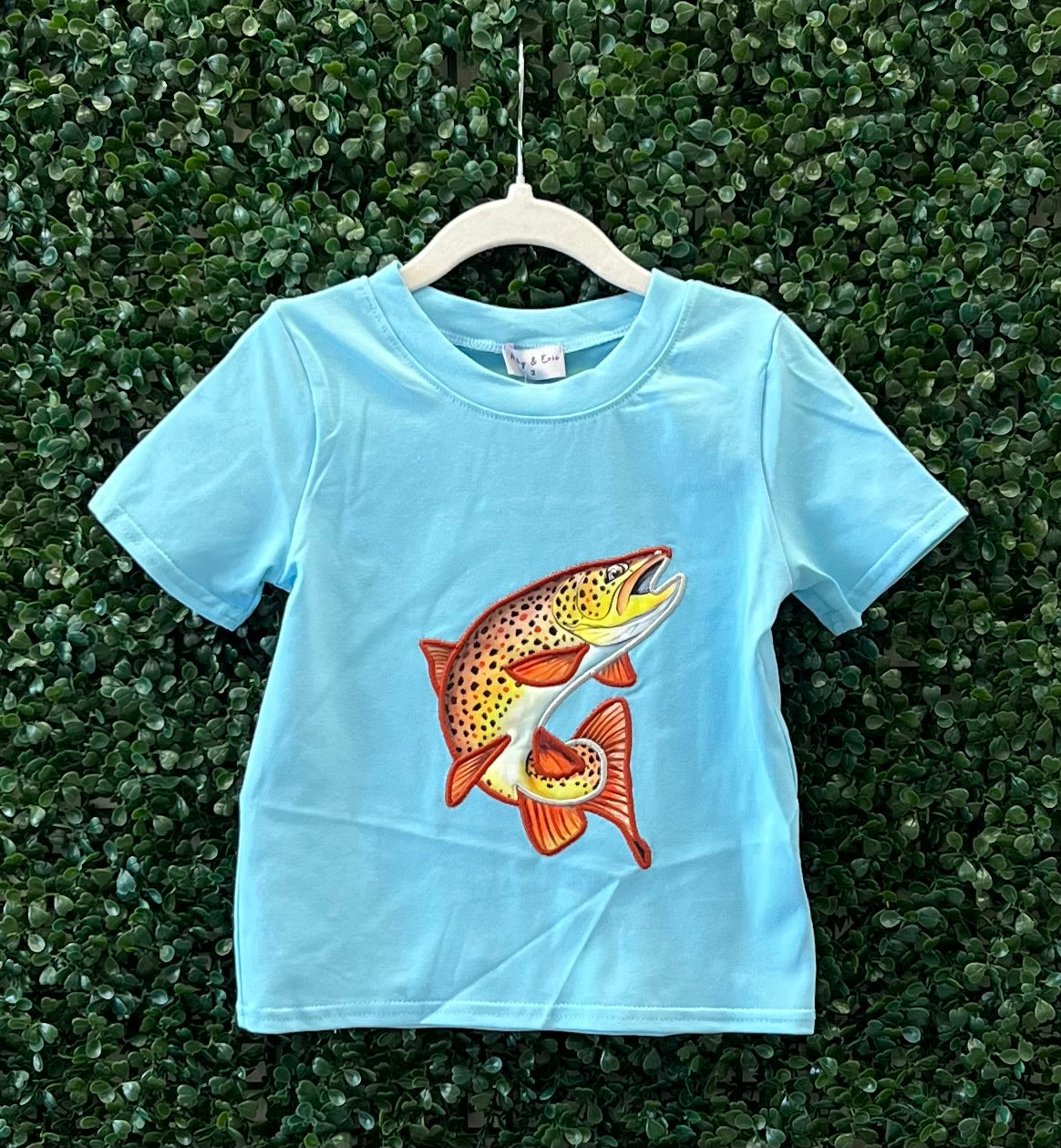 Discounted Big Blue Fish Collection