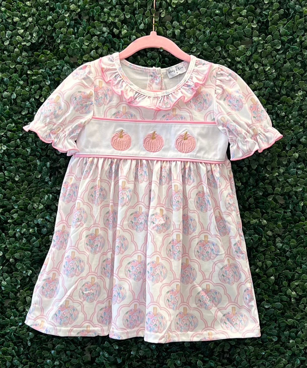 RTS Whimsical Pumpkin Embroidery Sibling Set Collection