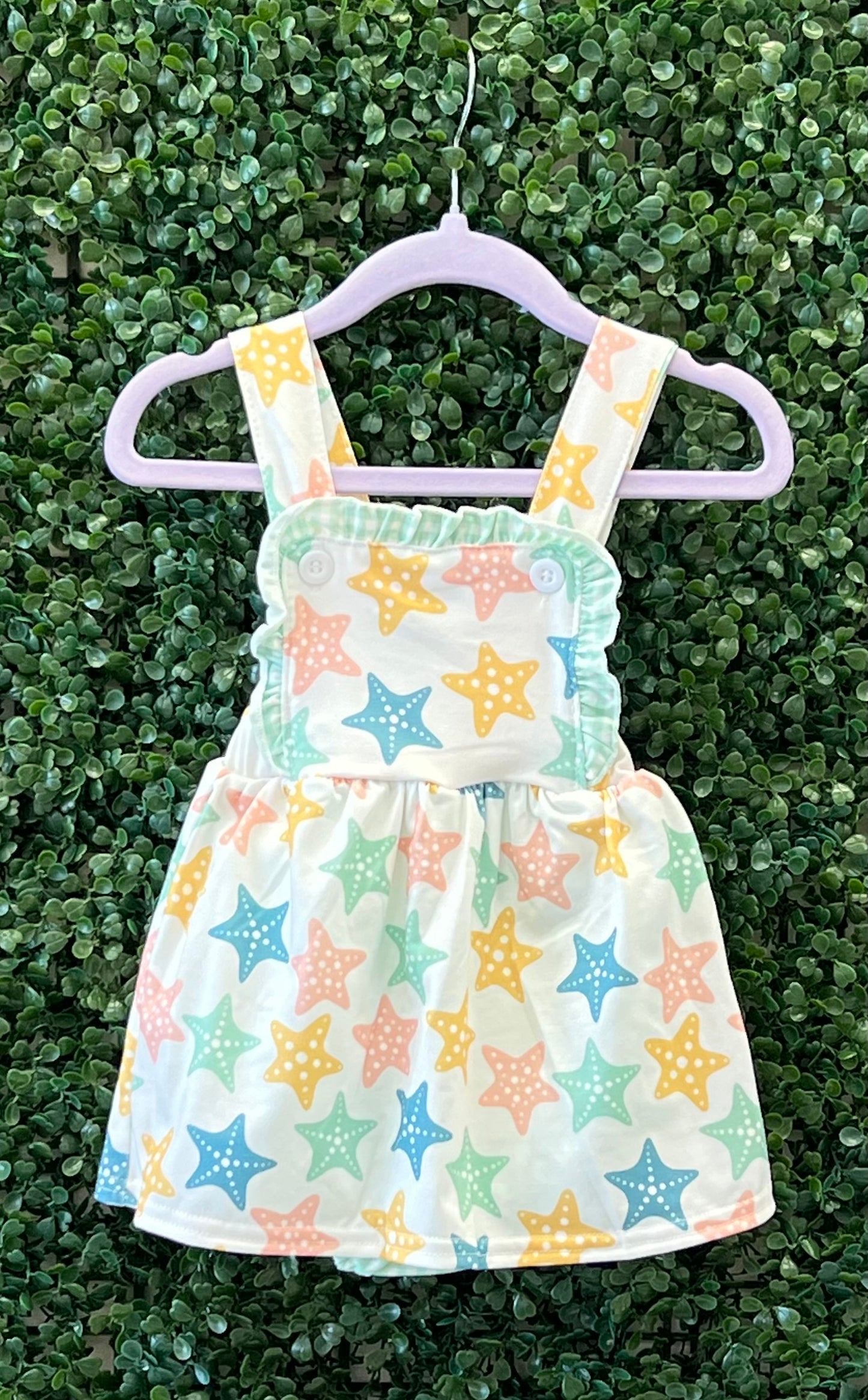 Discounted Starfish Collection