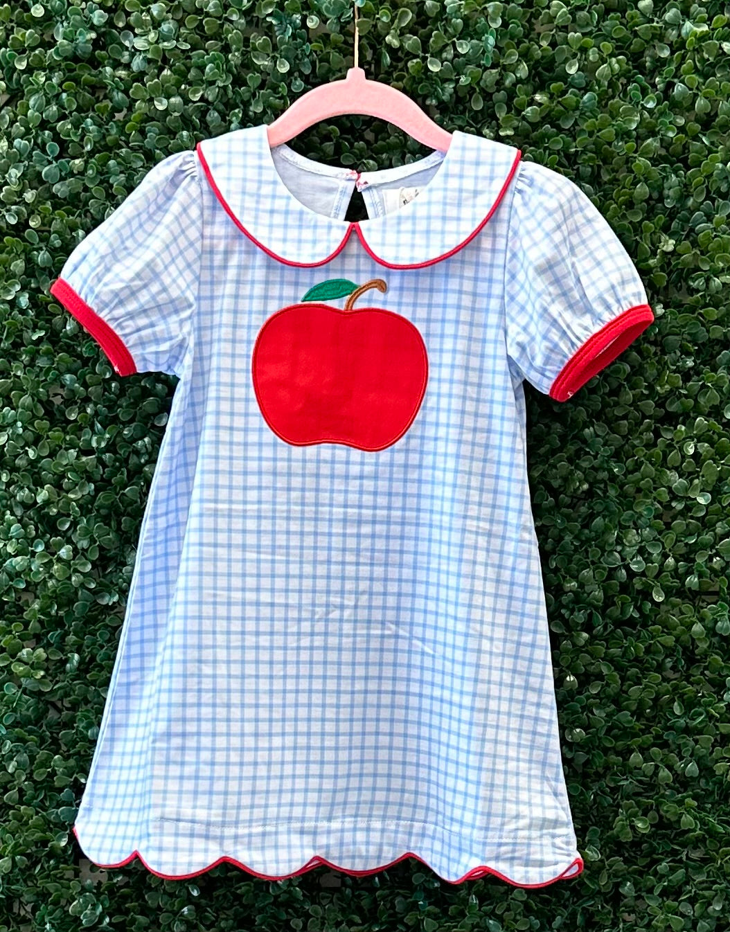 Discounted Big Red Apple Back to School Collection