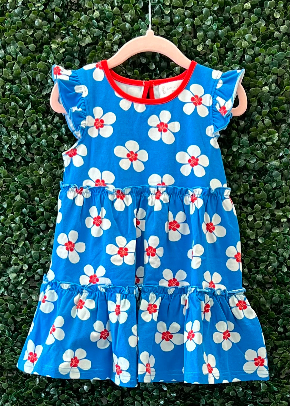 RTS Beautiful Blue Daisy Collection